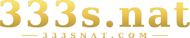 333s.nat logo